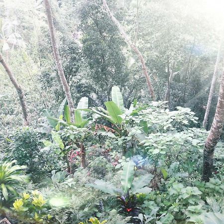 Ubud River Side House Hotel Exterior photo